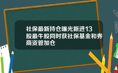 社保最新持仓曝光新进13股最牛股同时获社保基金和券商资管加仓