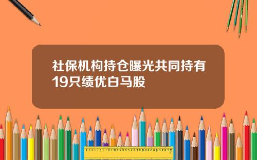 社保机构持仓曝光共同持有19只绩优白马股