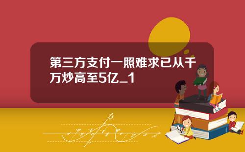 第三方支付一照难求已从千万炒高至5亿_1
