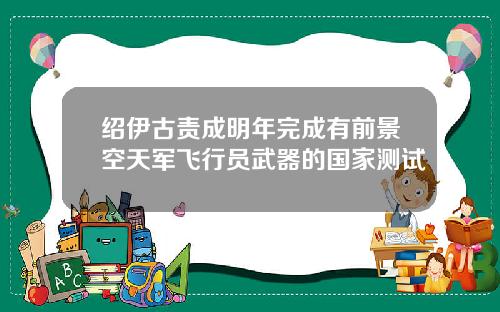 绍伊古责成明年完成有前景空天军飞行员武器的国家测试