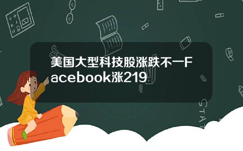 美国大型科技股涨跌不一Facebook涨219