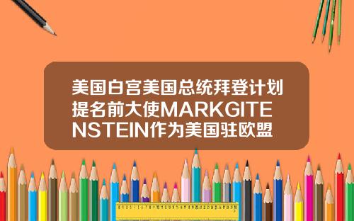 美国白宫美国总统拜登计划提名前大使MARKGITENSTEIN作为美国驻欧盟大使
