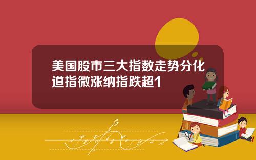 美国股市三大指数走势分化道指微涨纳指跌超1