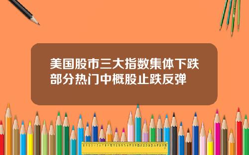 美国股市三大指数集体下跌部分热门中概股止跌反弹