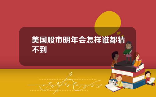 美国股市明年会怎样谁都猜不到