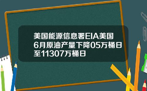 美国能源信息署EIA美国6月原油产量下降05万桶日至11307万桶日