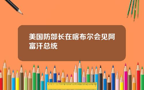 美国防部长在喀布尔会见阿富汗总统