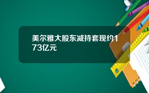 美尔雅大股东减持套现约173亿元
