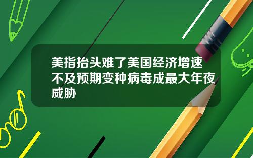 美指抬头难了美国经济增速不及预期变种病毒成最大年夜威胁