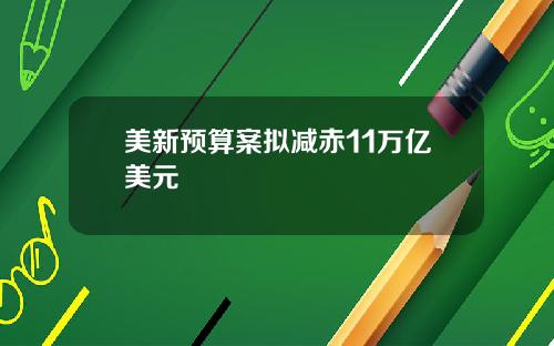 美新预算案拟减赤11万亿美元