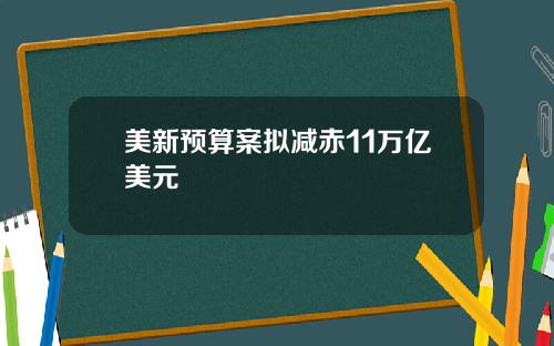 美新预算案拟减赤11万亿美元