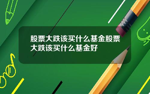 股票大跌该买什么基金股票大跌该买什么基金好