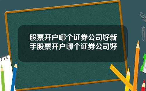 股票开户哪个证券公司好新手股票开户哪个证券公司好