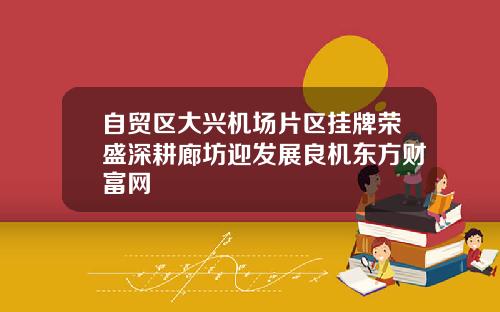 自贸区大兴机场片区挂牌荣盛深耕廊坊迎发展良机东方财富网