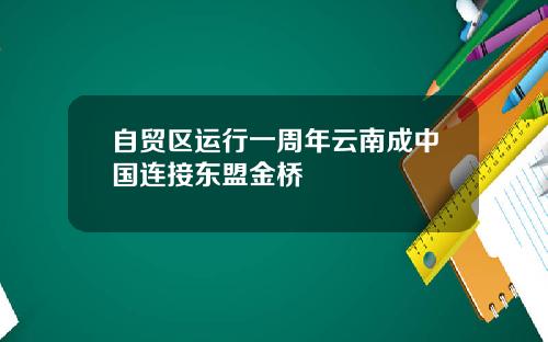 自贸区运行一周年云南成中国连接东盟金桥