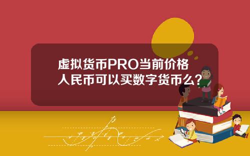 虚拟货币PRO当前价格 人民币可以买数字货币么？