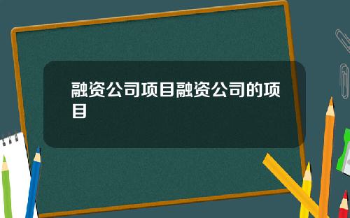 融资公司项目融资公司的项目