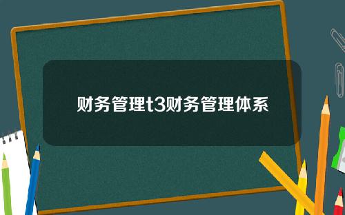 财务管理t3财务管理体系