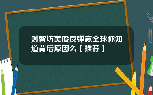 财智坊美股反弹赢全球你知道背后原因么【推荐】