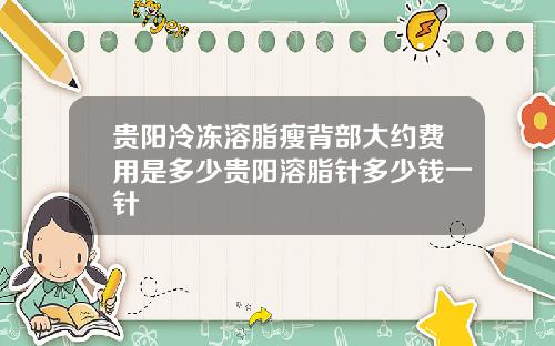贵阳冷冻溶脂瘦背部大约费用是多少贵阳溶脂针多少钱一针