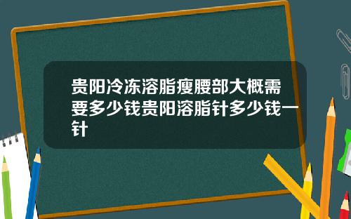 贵阳冷冻溶脂瘦腰部大概需要多少钱贵阳溶脂针多少钱一针