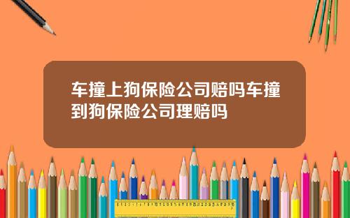 车撞上狗保险公司赔吗车撞到狗保险公司理赔吗