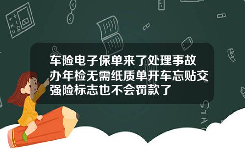 车险电子保单来了处理事故办年检无需纸质单开车忘贴交强险标志也不会罚款了