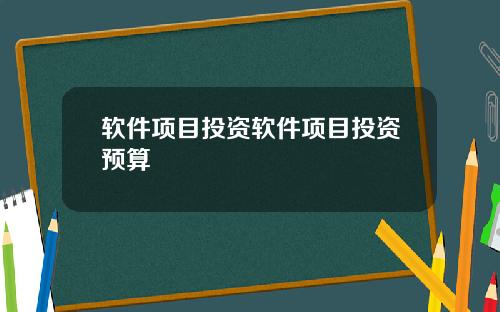 软件项目投资软件项目投资预算