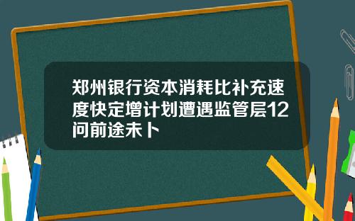 郑州银行资本消耗比补充速度快定增计划遭遇监管层12问前途未卜