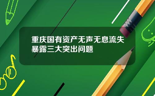 重庆国有资产无声无息流失暴露三大突出问题