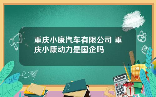 重庆小康汽车有限公司 重庆小康动力是国企吗