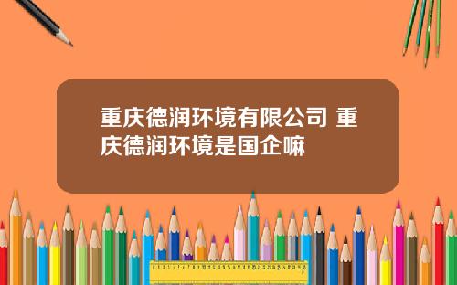 重庆德润环境有限公司 重庆德润环境是国企嘛