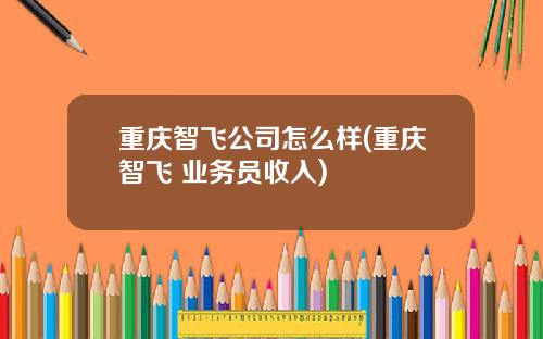 重庆智飞公司怎么样(重庆智飞 业务员收入)