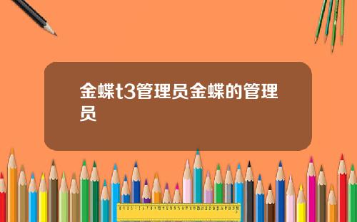 金蝶t3管理员金蝶的管理员