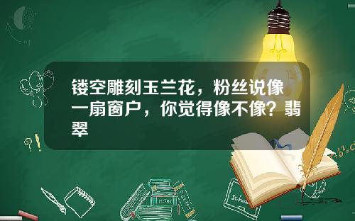 镂空雕刻玉兰花，粉丝说像一扇窗户，你觉得像不像？翡翠