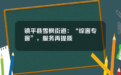 镇平县雪枫街道：“综窗专窗”，服务再提质