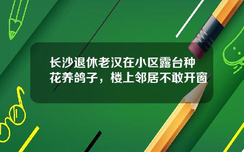 长沙退休老汉在小区露台种花养鸽子，楼上邻居不敢开窗