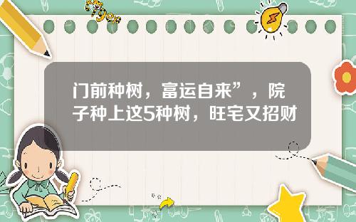 门前种树，富运自来”，院子种上这5种树，旺宅又招财