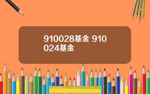 910028基金 910024基金
