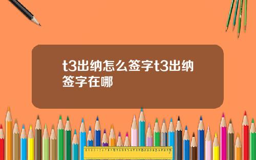 t3出纳怎么签字t3出纳签字在哪