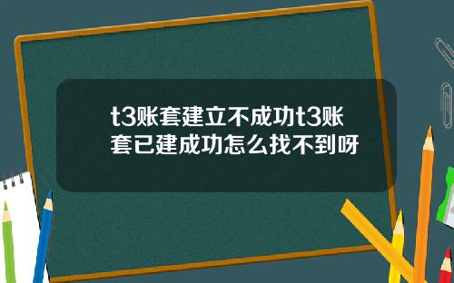t3账套建立不成功t3账套已建成功怎么找不到呀