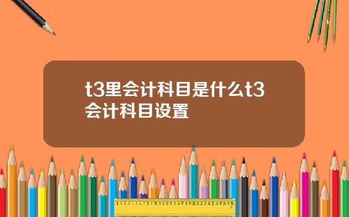 t3里会计科目是什么t3会计科目设置