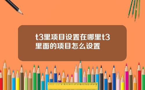 t3里项目设置在哪里t3里面的项目怎么设置