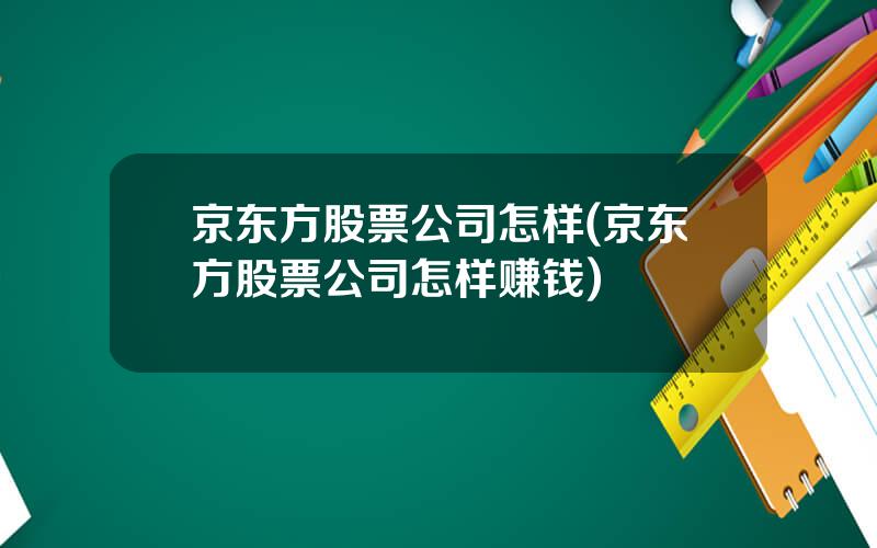 京东方股票公司怎样(京东方股票公司怎样赚钱)