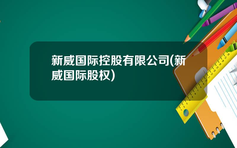 新威国际控股有限公司(新威国际股权)