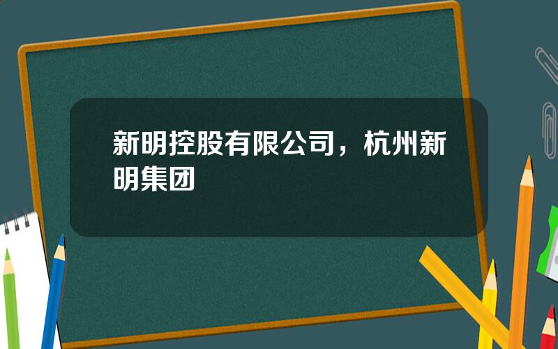 新明控股有限公司，杭州新明集团