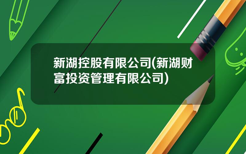 新湖控股有限公司(新湖财富投资管理有限公司)