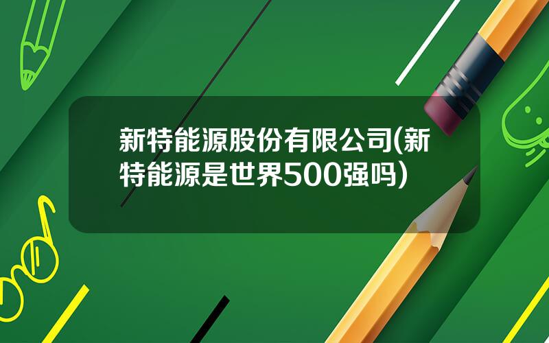 新特能源股份有限公司(新特能源是世界500强吗)