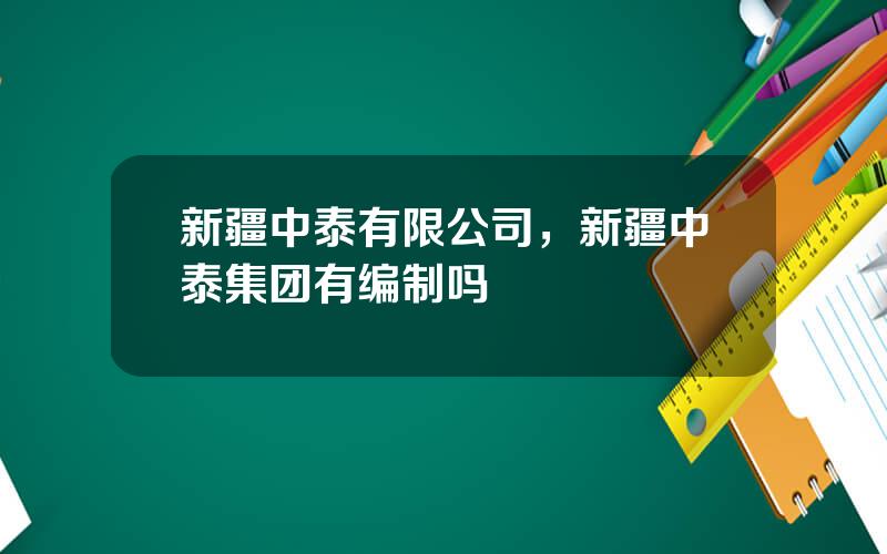 新疆中泰有限公司，新疆中泰集团有编制吗
