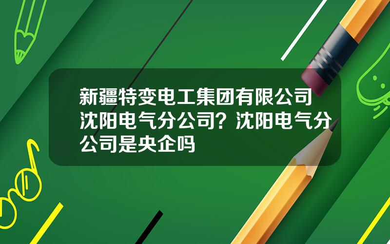 新疆特变电工集团有限公司沈阳电气分公司？沈阳电气分公司是央企吗